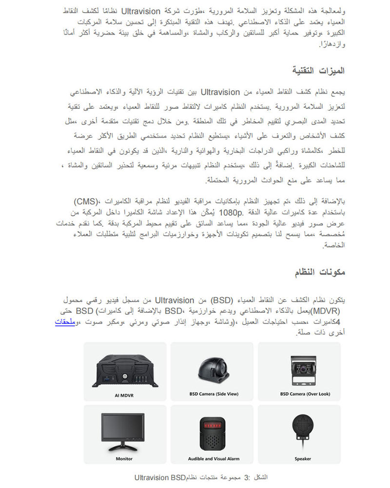 Arabic-BSD-2.jpg